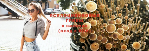 дживик Алексеевка