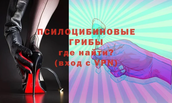 a pvp Алзамай