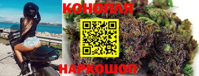гидра Бийск