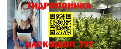 гидра Бийск