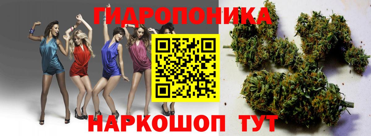 Шишки марихуана индика Заволжье